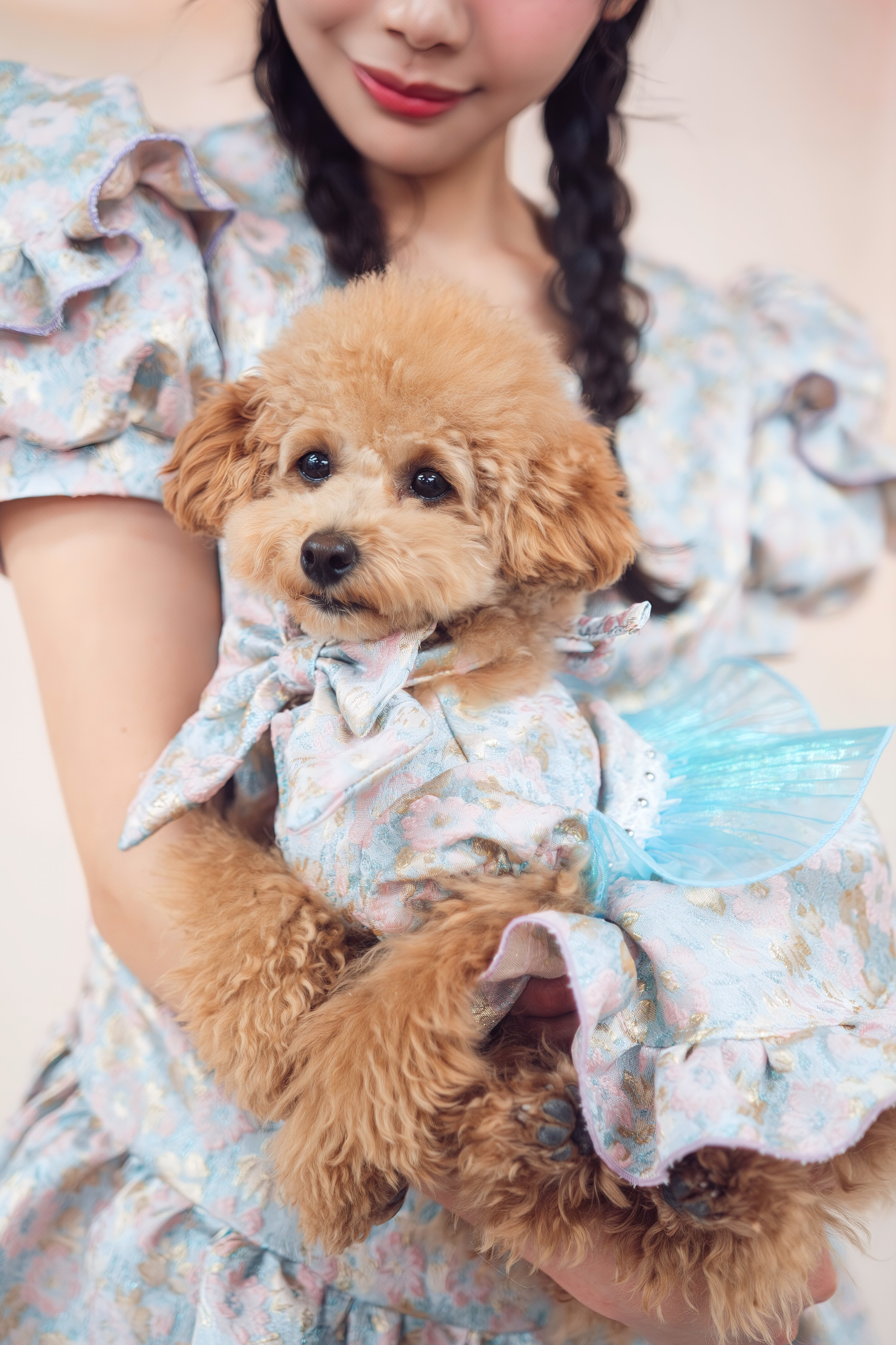 KANNA ARCÄNA ror DOG