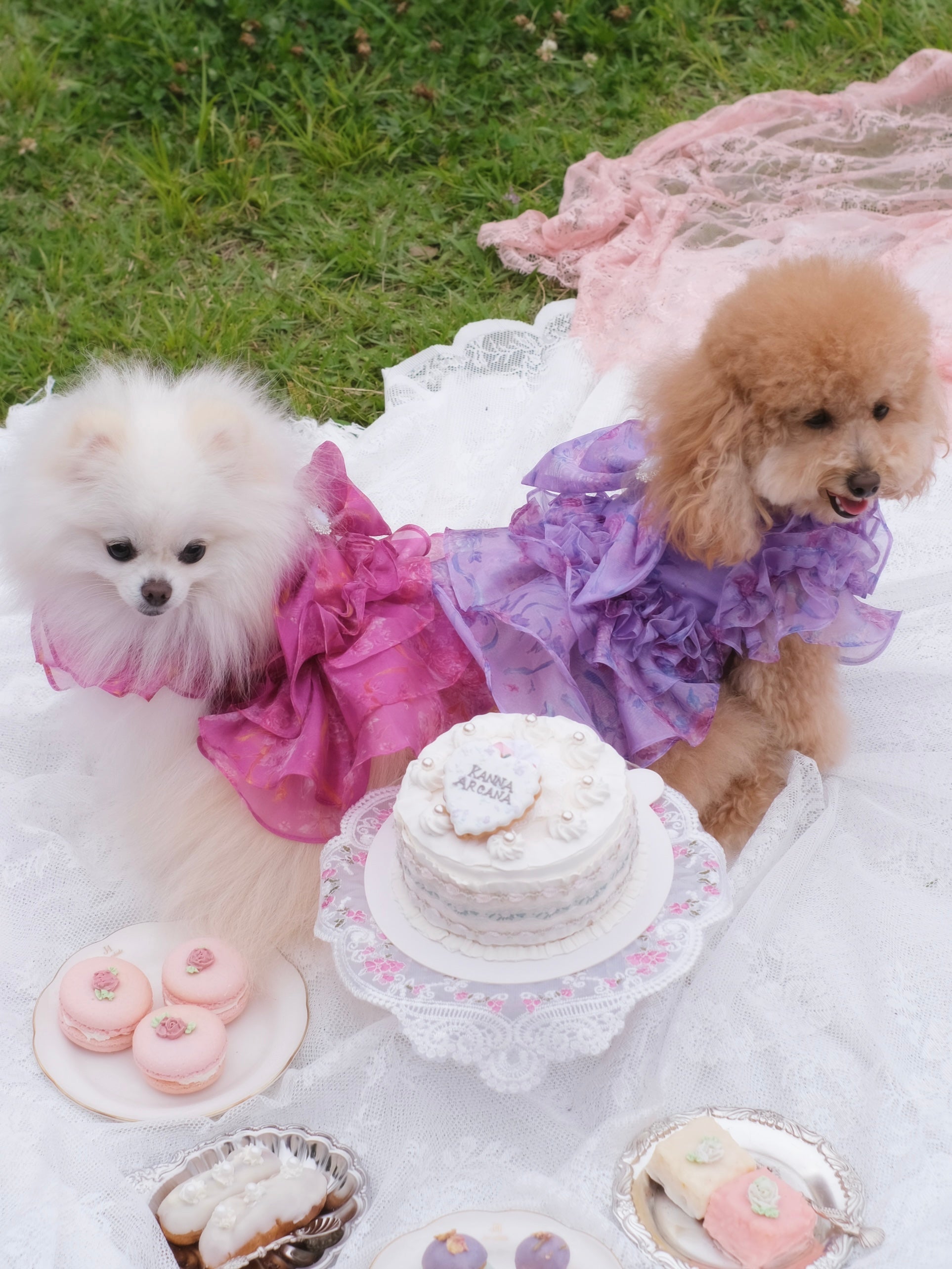 Organza Rose Dress