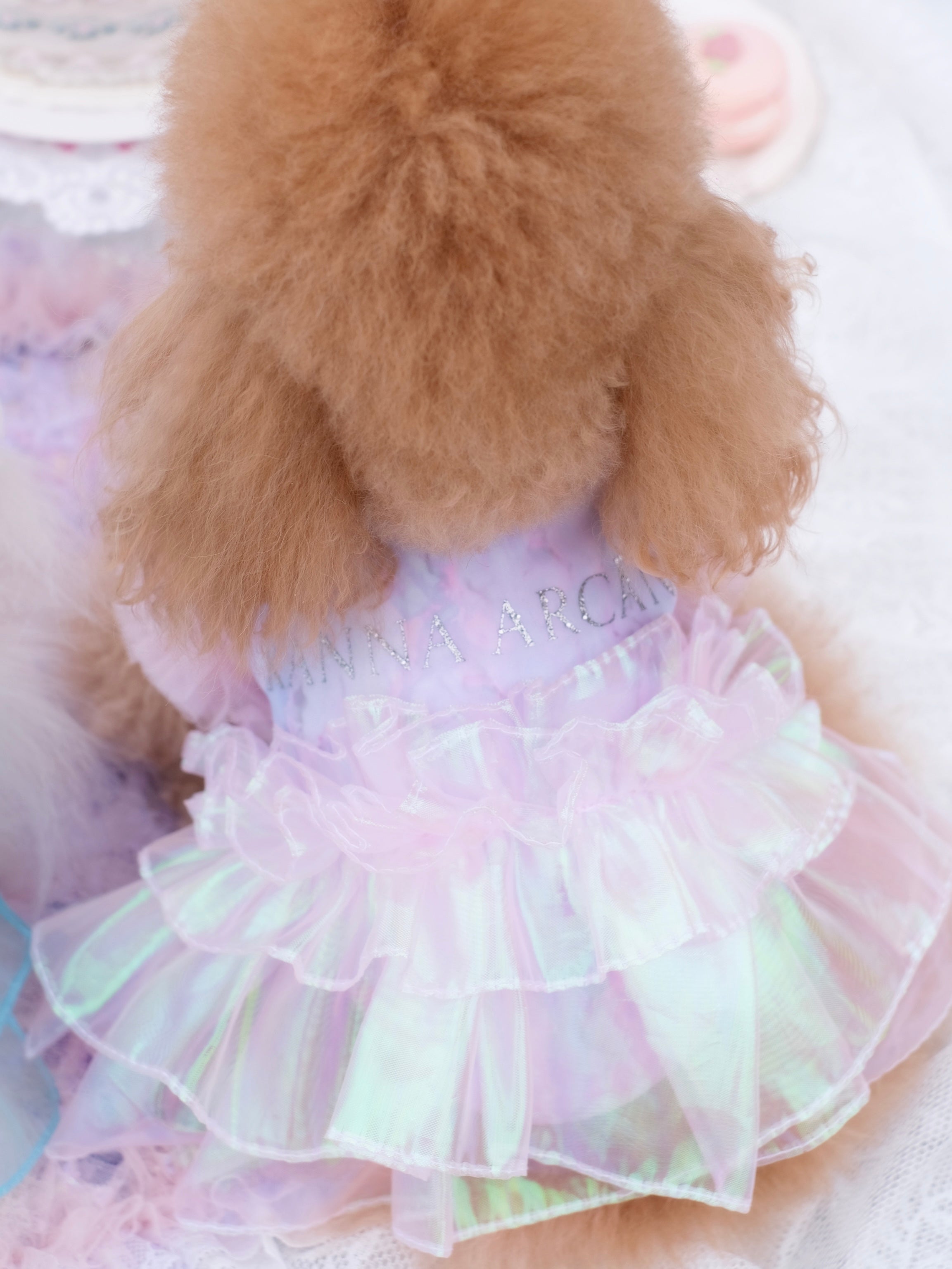 Frozen Fairy Dress