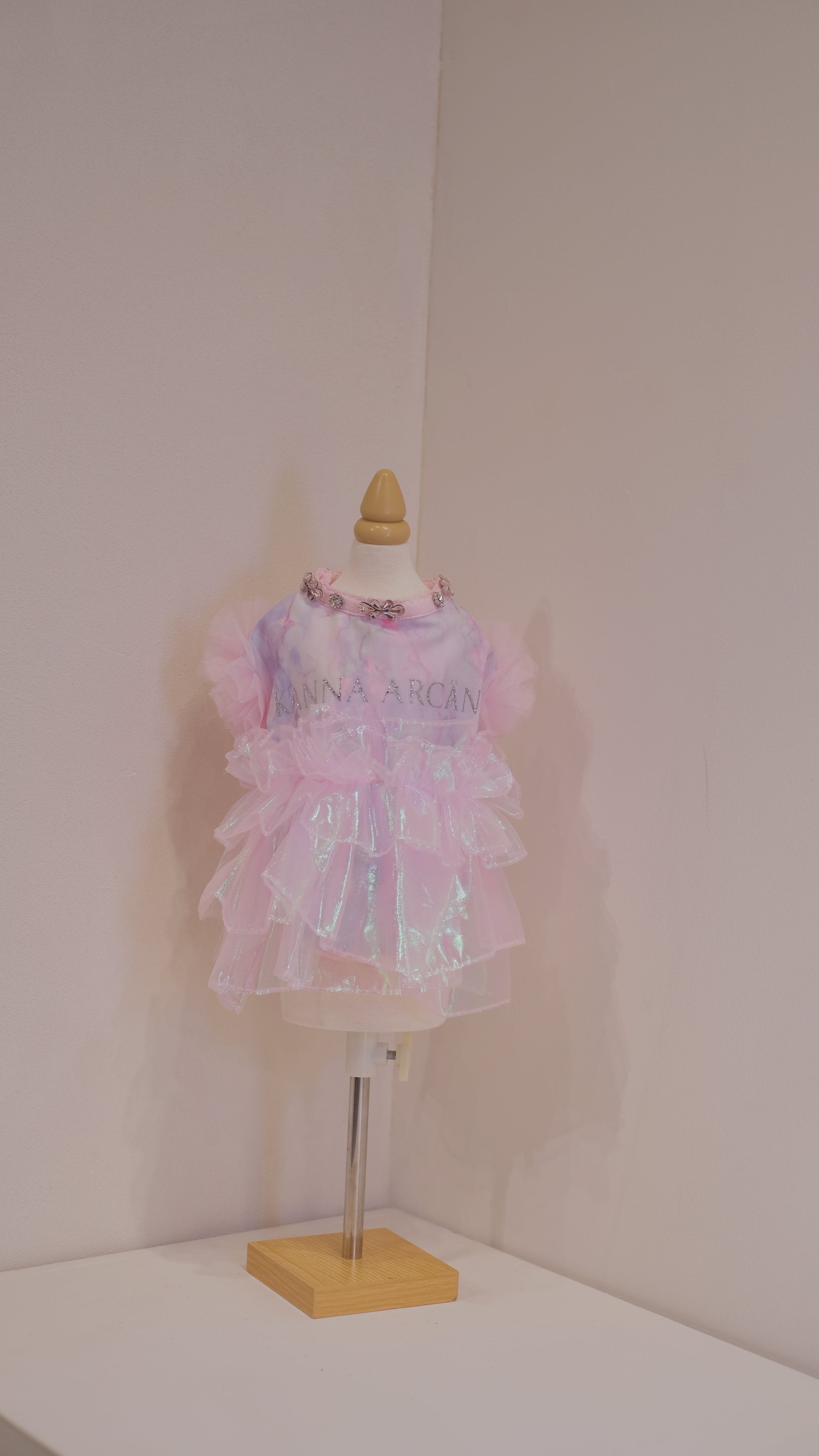 Frozen Fairy Dress
