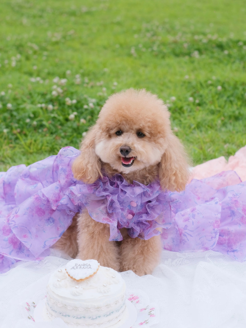 organza rose long skirt