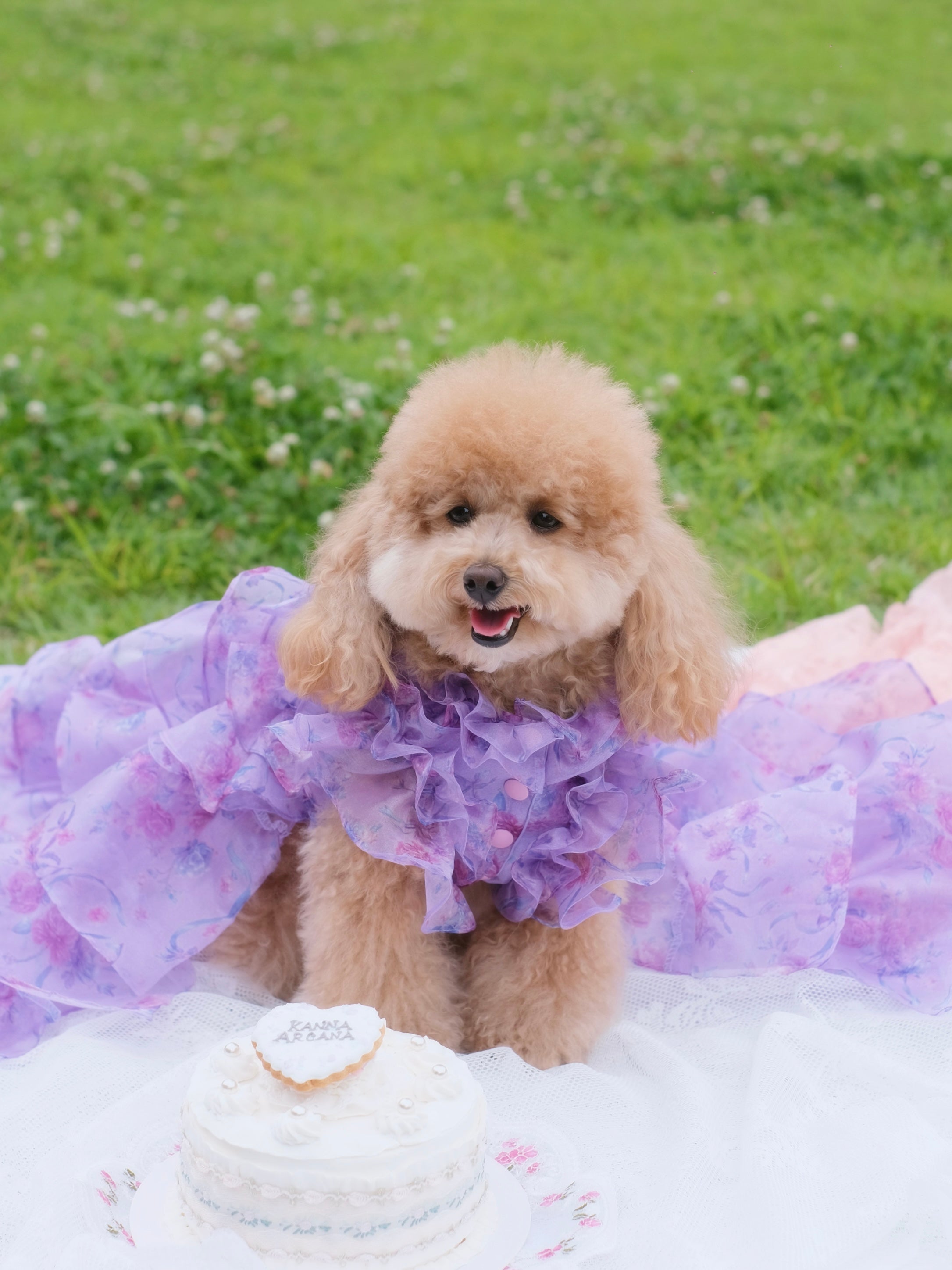 organza rose long skirt
