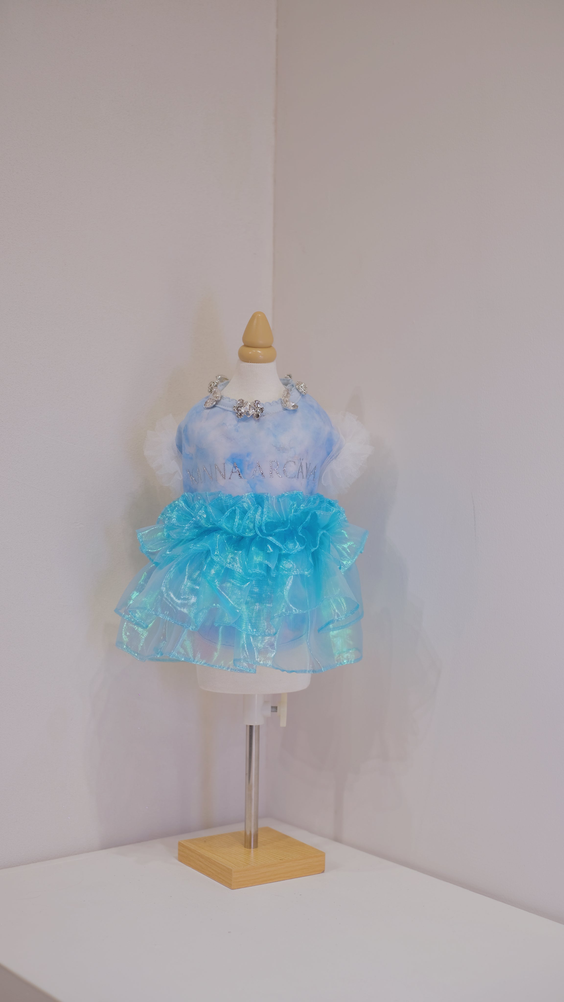 Frozen Fairy Dress