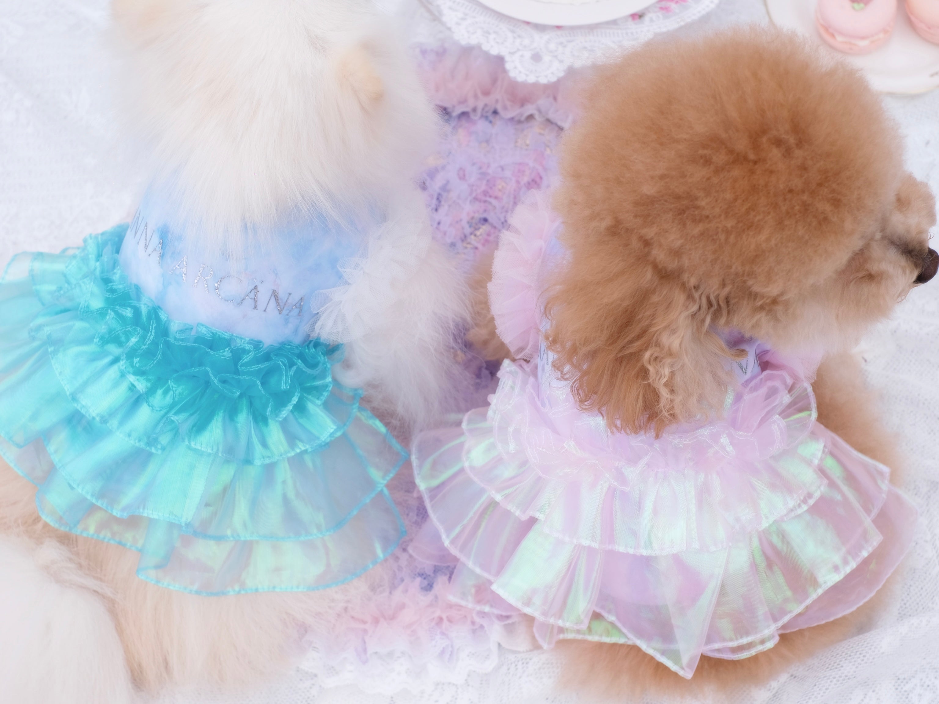 Frozen Fairy Dress