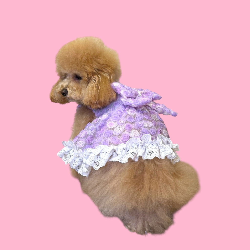 ローズハーネス