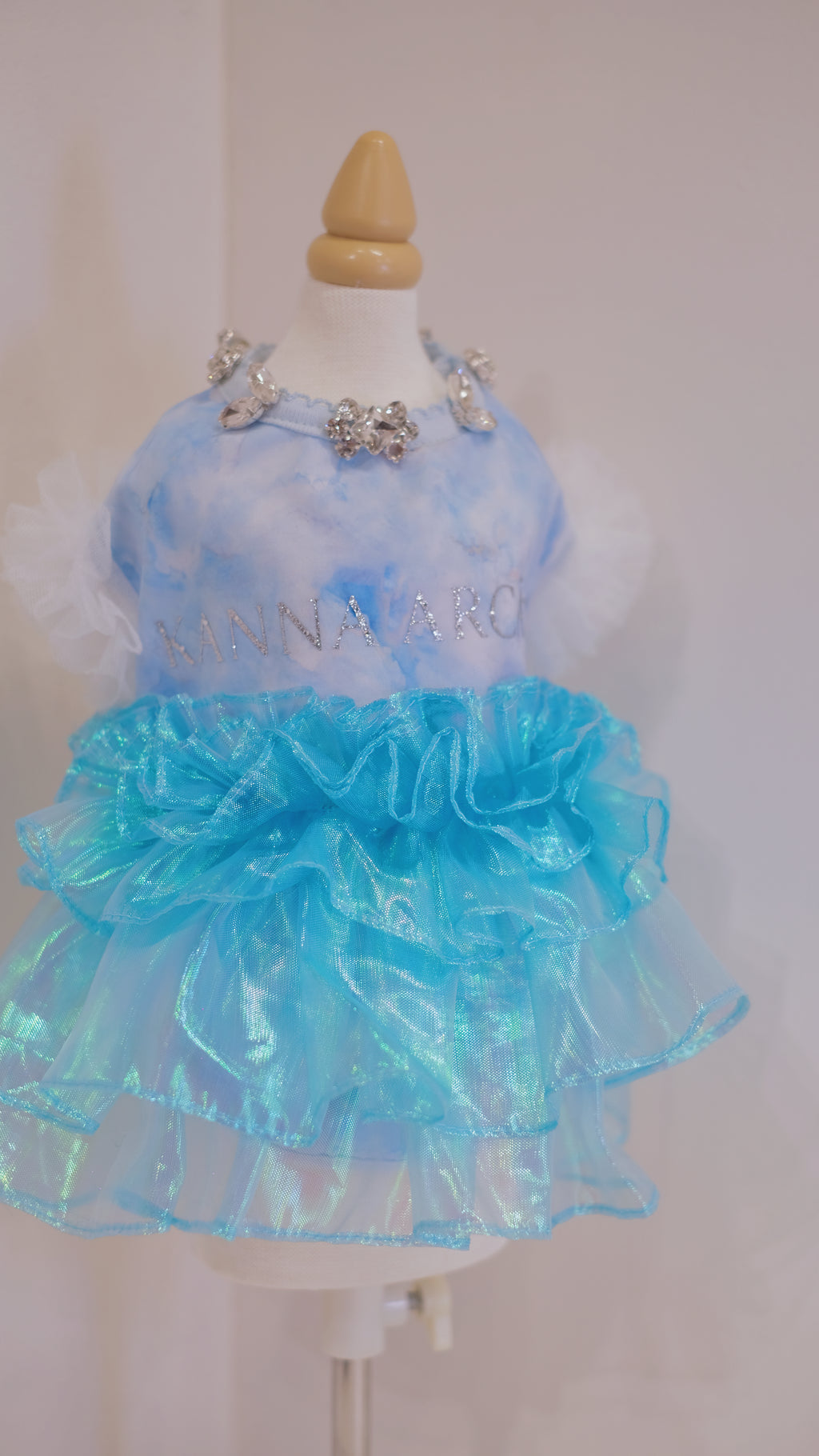 Frozen Fairy Dress